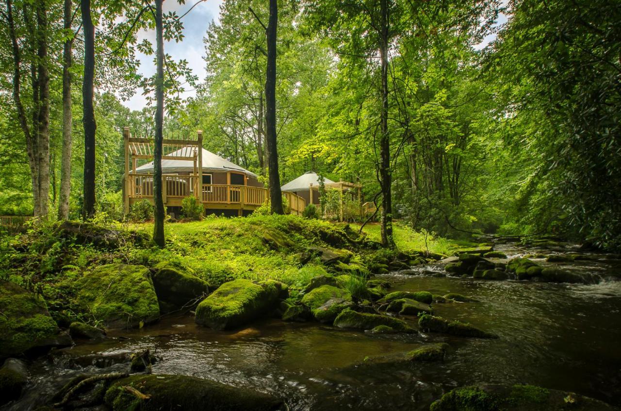 Spring Ridge Luxury Yurt - Creekside Glamping With Private Hot Tub Villa Topton Bagian luar foto